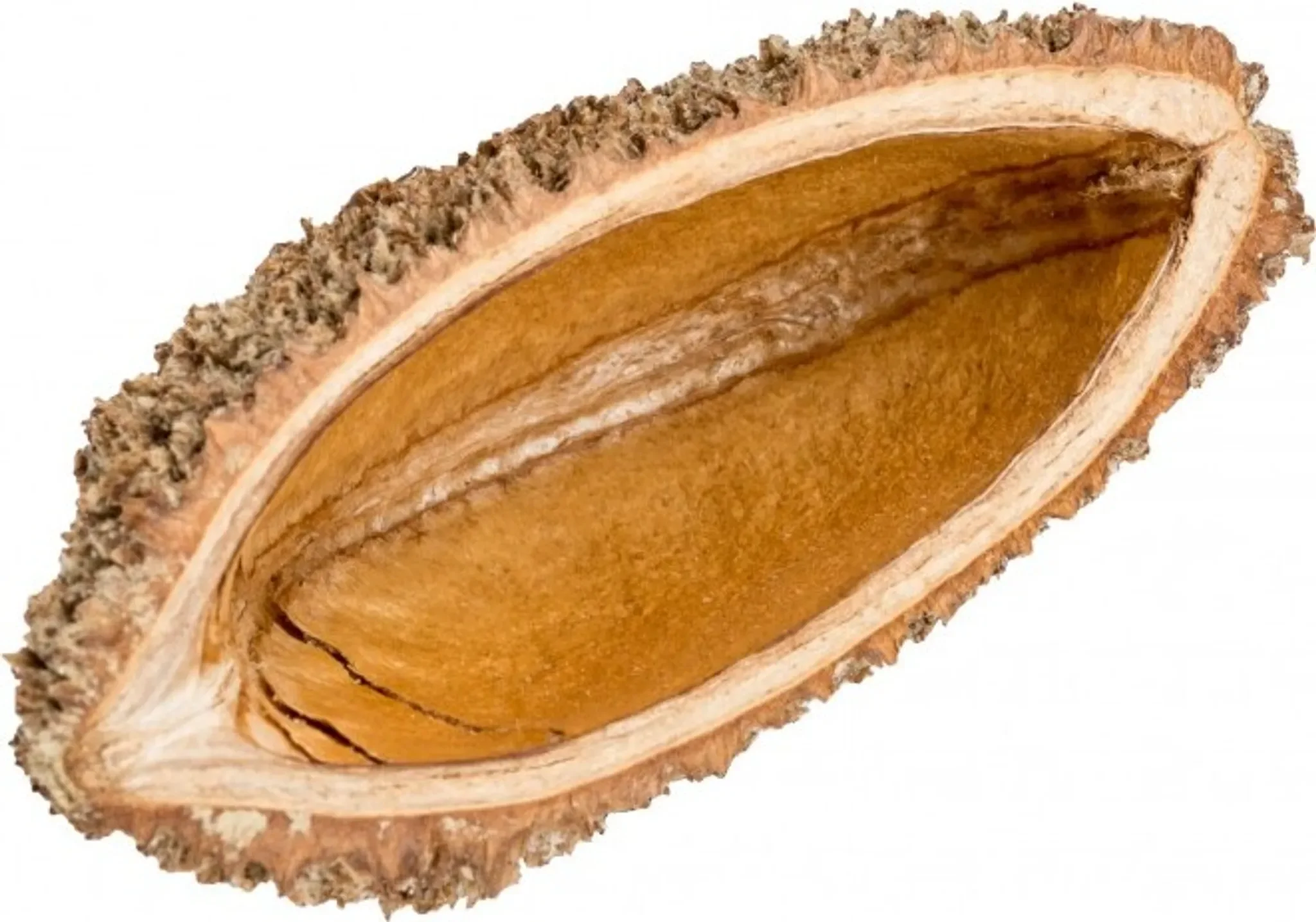 NaDeco Bolsa de Pastor Fine – Natur, ca. 5–8 cm